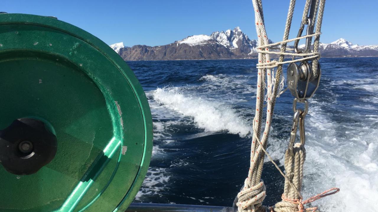 Nordlandshuset Lottebakken, Ballstad in Lofoten Eksteriør bilde